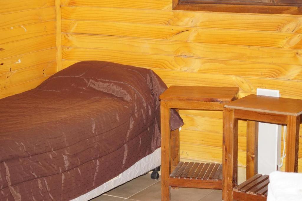 Complejo Rio Los Patos - Apartamentos Barreal Eksteriør billede